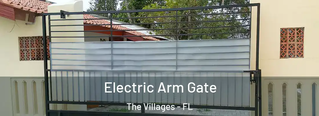  Electric Arm Gate The Villages - FL